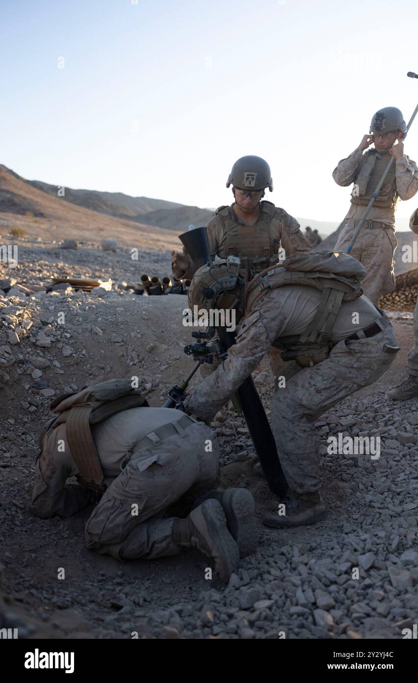 Micah Farrens, ein Mörder mit der Waffenkompanie, 2. Bataillon, 4. Marine-Regiment, 1. Marine-Division, lädt einen M252 81-mm-Mörser während einer Kampffähigkeitsbewertung im Marine Corps Air-Ground Combat Center Twentynine Palms, Kalifornien, 29. August 2024. Das Bataillon trainierte bei MCAGCC Twentynine Palms, um die Kampfbereitschaft in Vorbereitung auf einen bevorstehenden Einsatz aufzubauen und aufrechtzuerhalten. Farrens stammt aus Iowa. (Foto des U.S. Marine Corps von Lance CPL. Nataly Espitia) Stockfoto