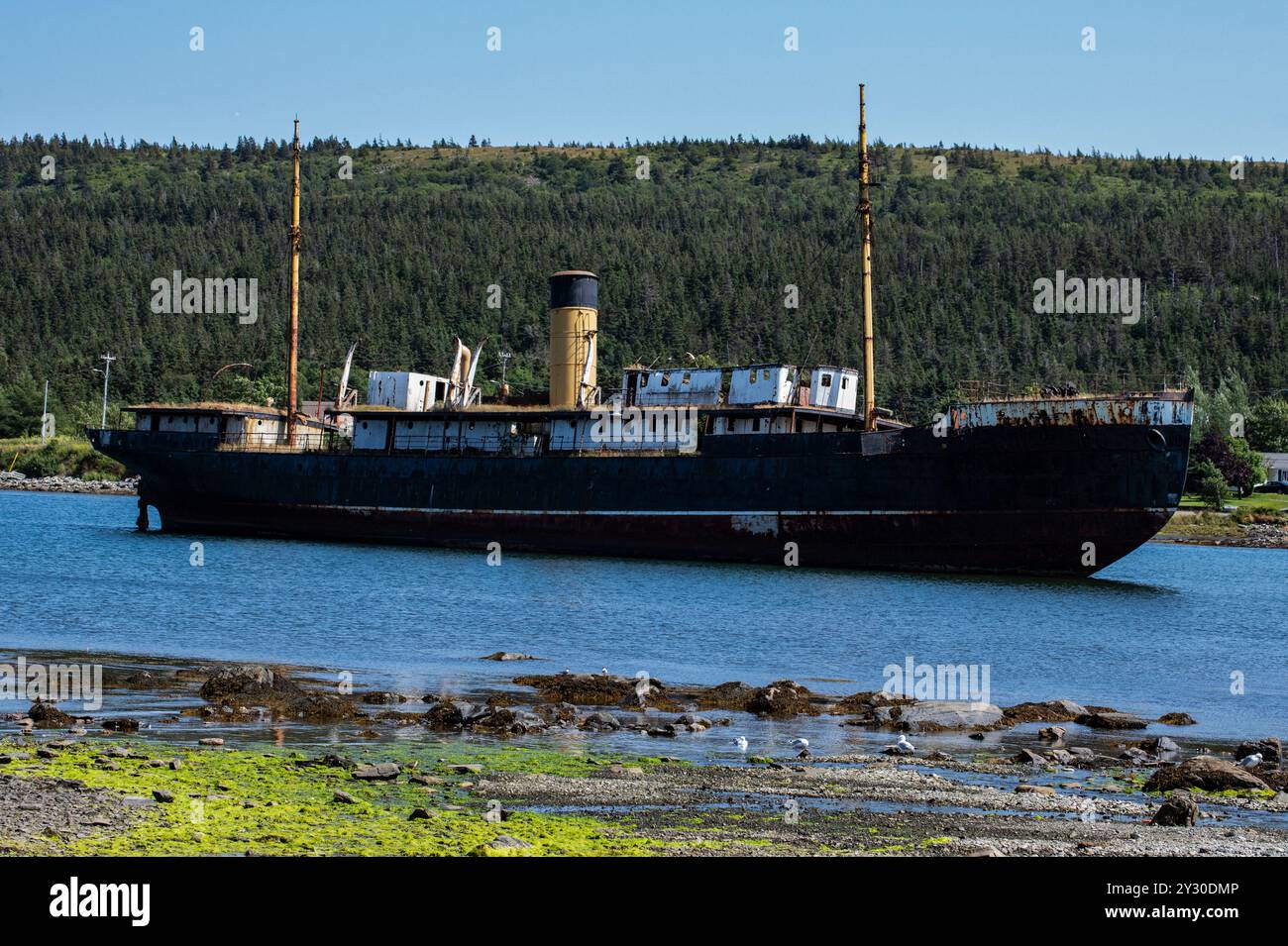 Schiffswrack der SS Kyle in Harbour Grace, Neufundland & Labrador, Kanada Stockfoto