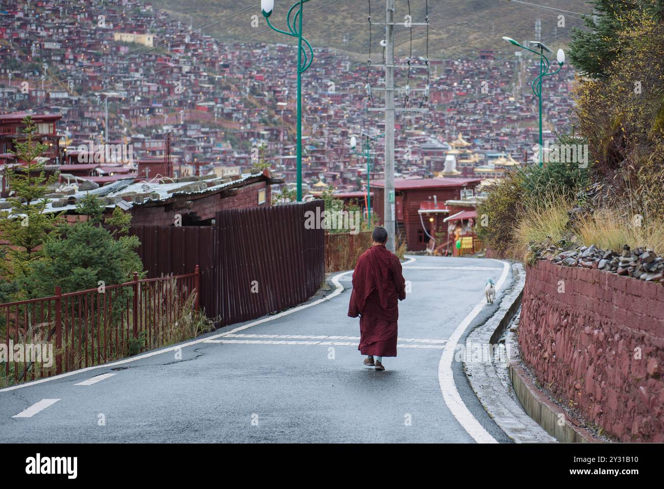 Eine buddhistische Nonne, die auf der Straße der Larung gar Buddhist Academy in Serta County, Garze, Tibetische Autonome Präfektur, Sichuan, China. Stockfoto