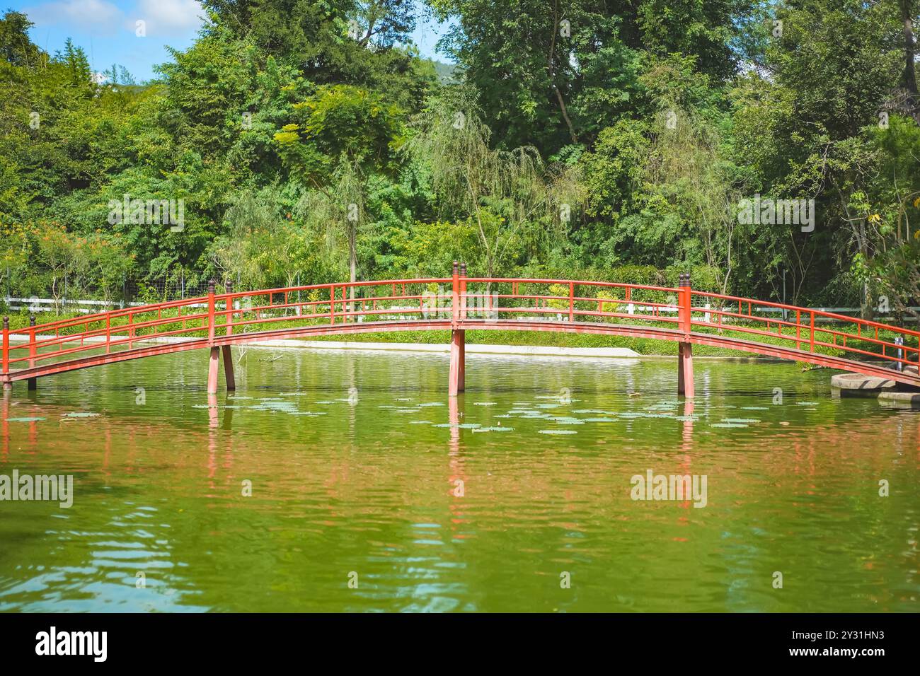 Eine rote Modellbrücke in einem japanischen Garten. Wunderschöner Blick auf eine rote Modellbrücke in einem japanischen Garten; die Brücke spiegelt sich im Wasser. Stockfoto