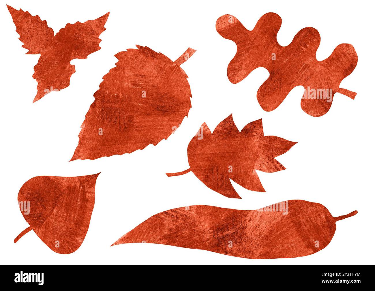 Set von Herbstblättern in verschiedenen Formen. Zeichnen mit Farbstiften. Konturstruktur. Verschiedene Brauntöne. Weißer Hintergrund. Blätter ab Stockfoto
