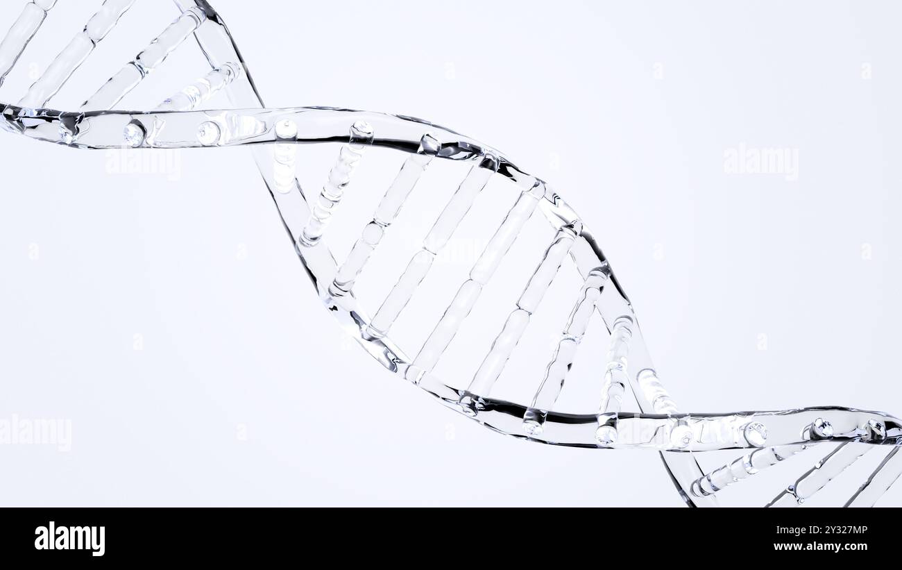 Dna. Nukleinsäure-Doppelhelix. Abstraktes Glas. Isoliert. 3D-Abbildung. Stockfoto