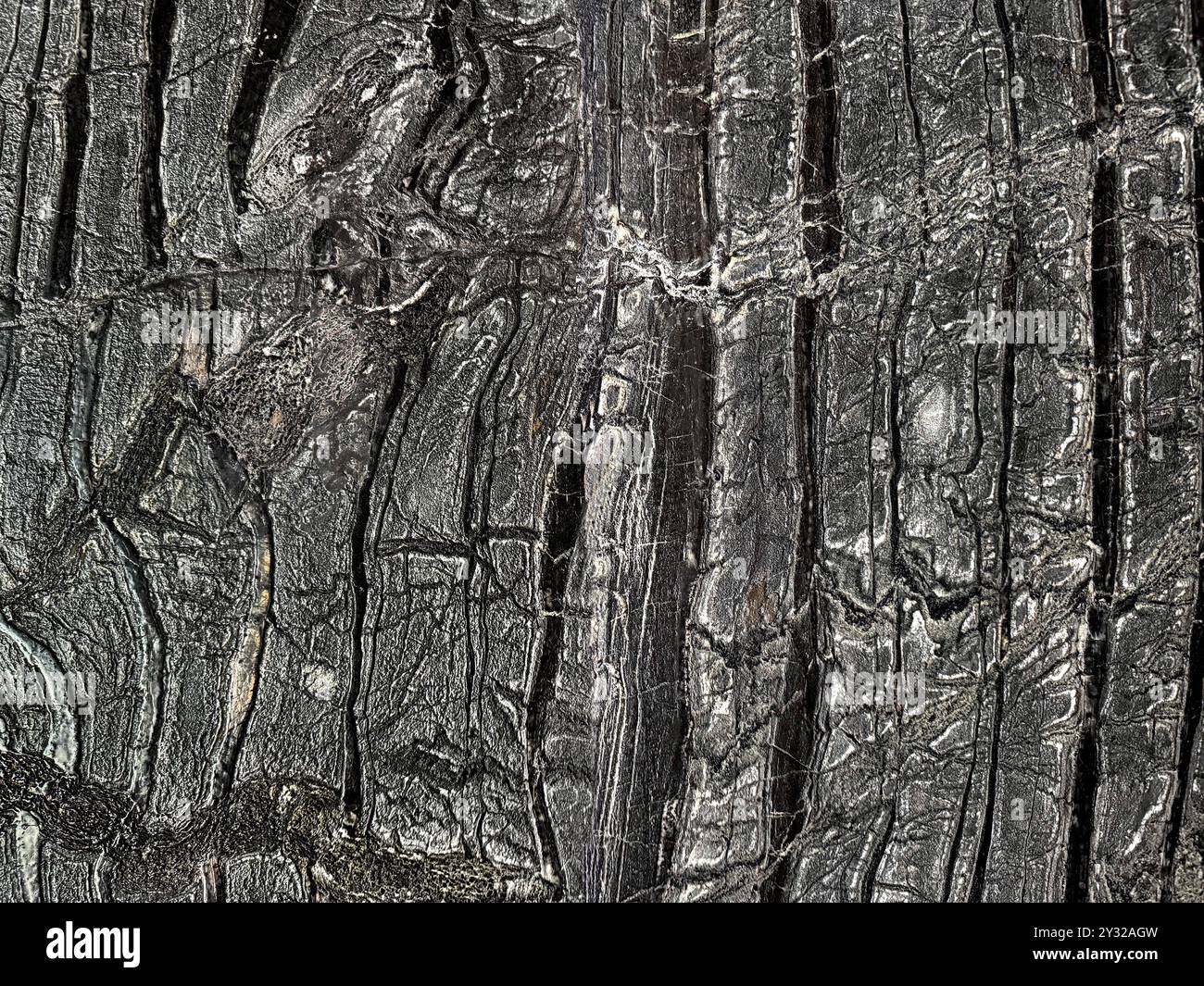 Offene Porenstruktur aus schwarzem rustikalem Holzmarmor mit unglaublichen Holzadern und Körnern in 3D-Kontur. Nahtlose Textur. Stockfoto