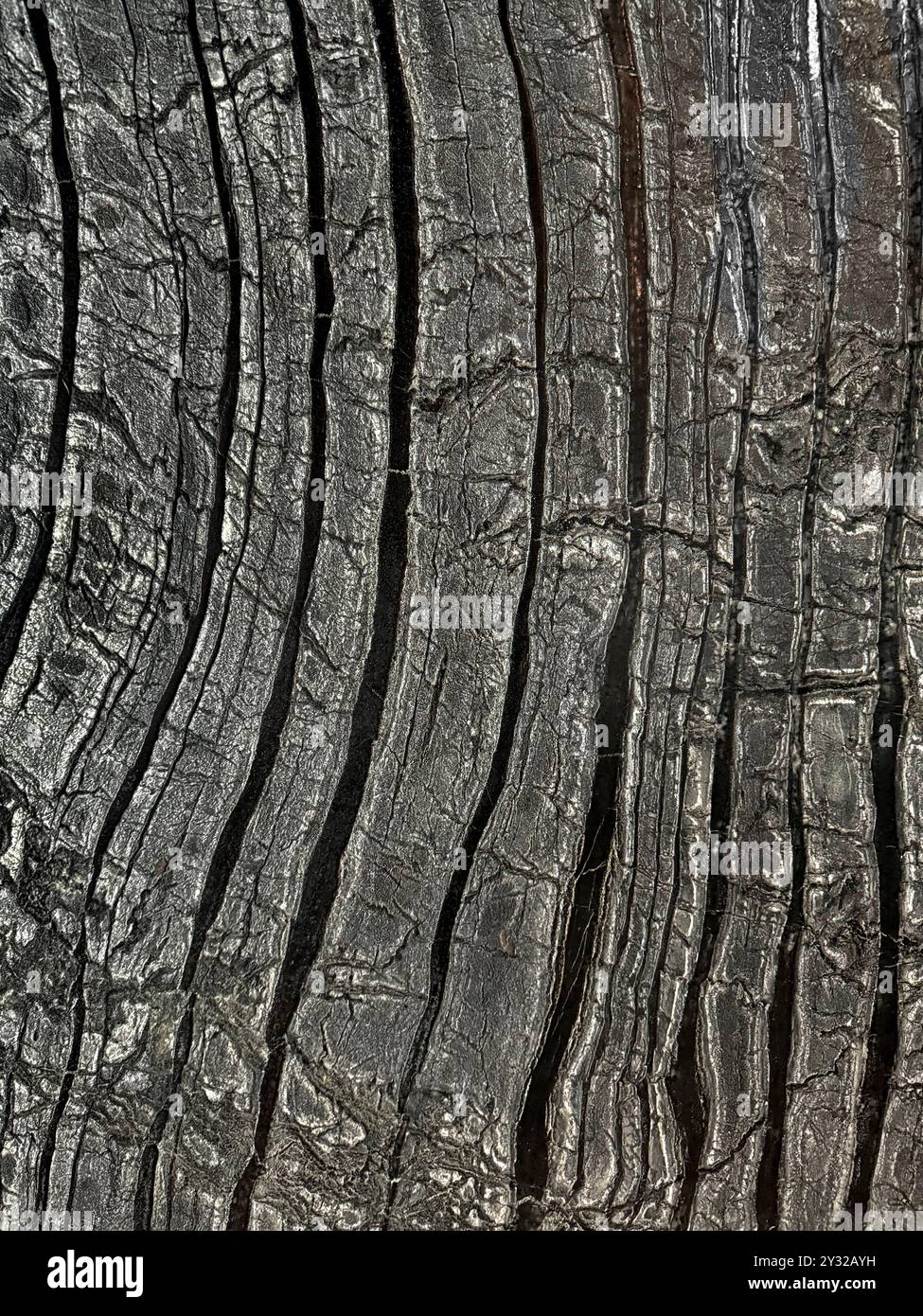 Offene Porenstruktur aus schwarzem rustikalem Holzmarmor mit unglaublichen Holzadern und Körnern in 3D-Kontur. Nahtlose Textur. Stockfoto