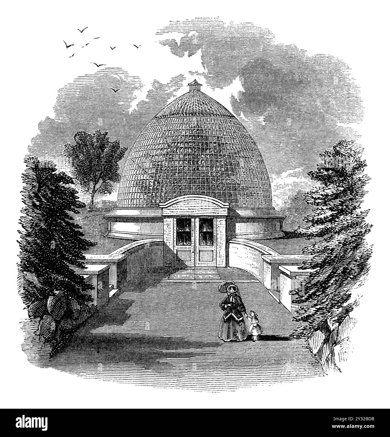 Vintage 1854 Gravur des Conservatory at the Horticultural Gardens in Chiswick, London. Stockfoto