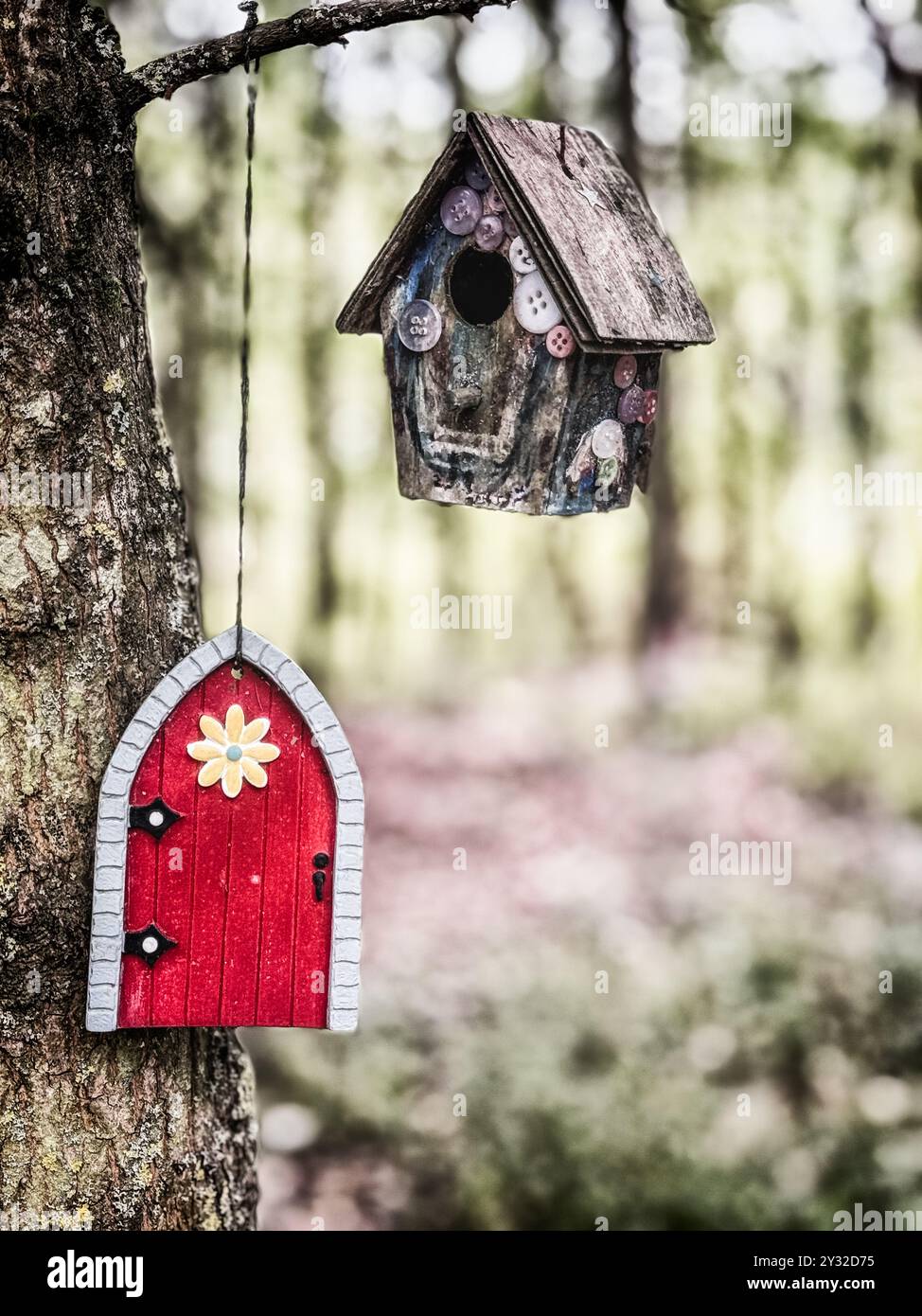 Feentüren im Wald in Oxfordshire. Stockfoto