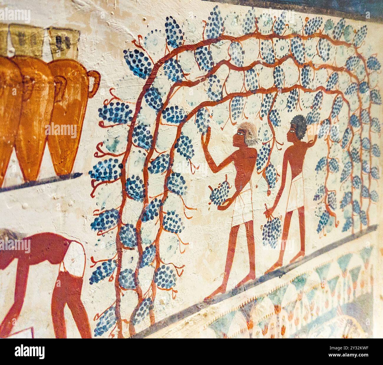 Luxor in Ägypten, Tal der Adligen, Grab von Nakht. Traubenernte. Netter Drillis. Stockfoto Luxor in Ägypten, Tal der Adligen, Grab von Nakht. Traubenernte. Netter Drillis. Stockfoto