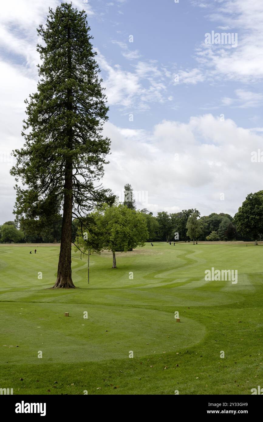 Rushmore Golf Club, Tollard Royal, Salisbury, Wiltshire - Cramborne Chase - Stockfoto