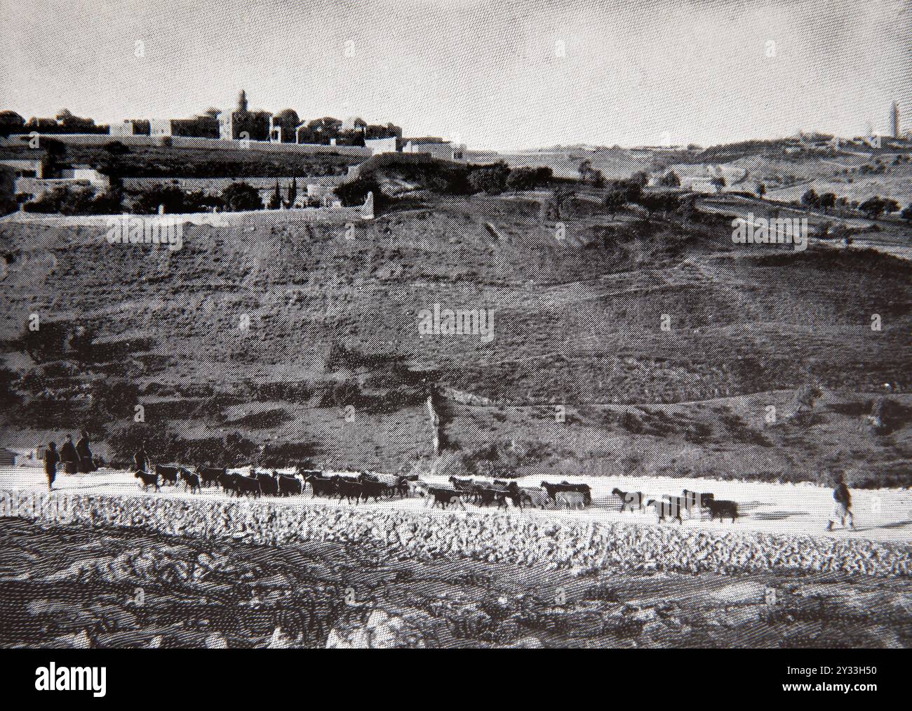 Historische Fotografie des Berges Zion und des Olivenbergs von der Bethlehem Road mit Hirten und Ziegen im Antique National des 19. Jahrhunderts Stockfoto