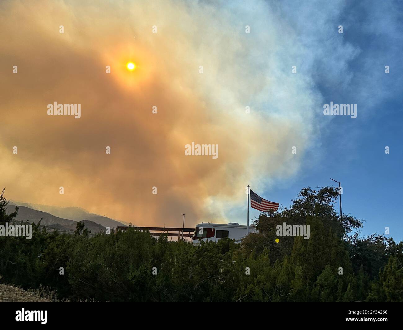 Phelan, CA, USA. September 2024. Wacholderbeeren vor dem Rauch und der Sonne. Das Bridge Fire im Angeles National Forest, von der Wüste direkt am Pear Blossom Highway, zwischen Llano und Phelan, Kalifornien (Foto: © Amy Katz/ZUMA Press Wire) NUR ZUR REDAKTIONELLEN VERWENDUNG! Nicht für kommerzielle ZWECKE! Stockfoto