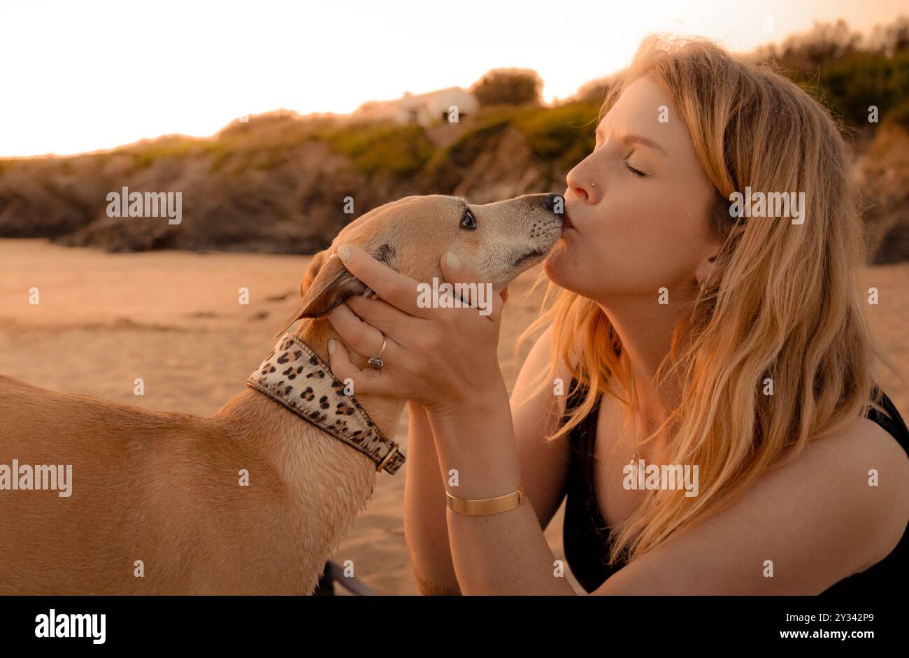 Junge Erwachsene kaukasische Frau küsst ihren Whippet-Hund am Strand bei Sonnenuntergang, liebevoller Moment im goldenen Licht eines Sommernachmittags, Closeup Stockfoto