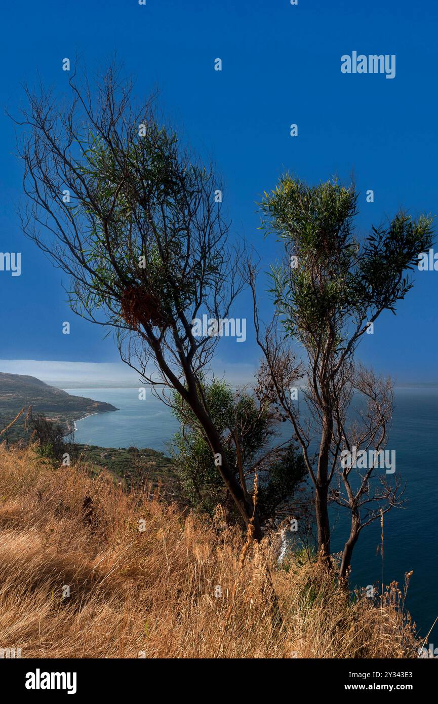 Blick auf eine Bucht an der Tyrrhenischen Küste von Kalabrien, Italien, den Golfo di Gioia Tauro (Golf von Gioia Tauro). Stockfoto