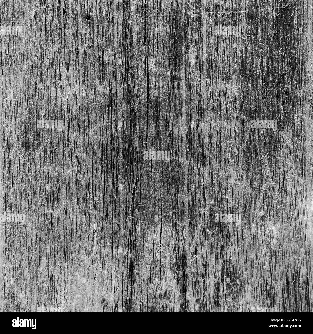 Altes abgenutztes Holzbrett. Holzstruktur Nahaufnahme. Schwarz-weiß strukturierter natürlicher Hintergrund. Stockfoto