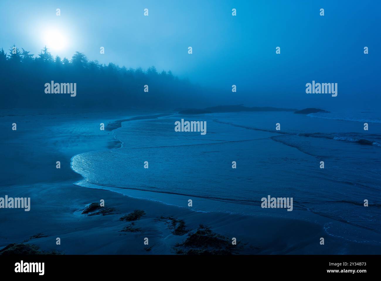 Blaue Landschaft des Chesterman Strandes im Nebel, Tofino, Vancouver Island, British Columbia, Kanada. Stockfoto