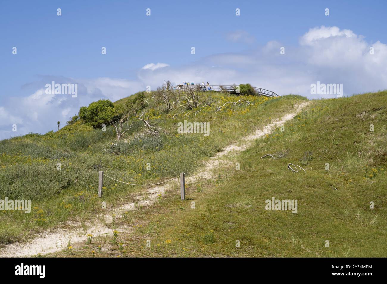 Dünenlandschaft, Nationalpark Niedersächsisches Wattenmeer, Norderney, Ostfriesische Insel, Ostfriesland, Niedersachsen, Deutschland, Europa Stockfoto