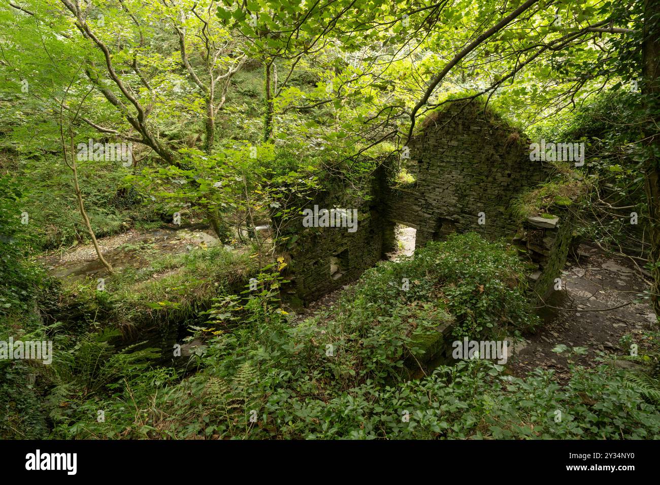 Verlassenes Millhouse, Rocky Valley, Tintagel, Cornwall, Großbritannien Stockfoto
