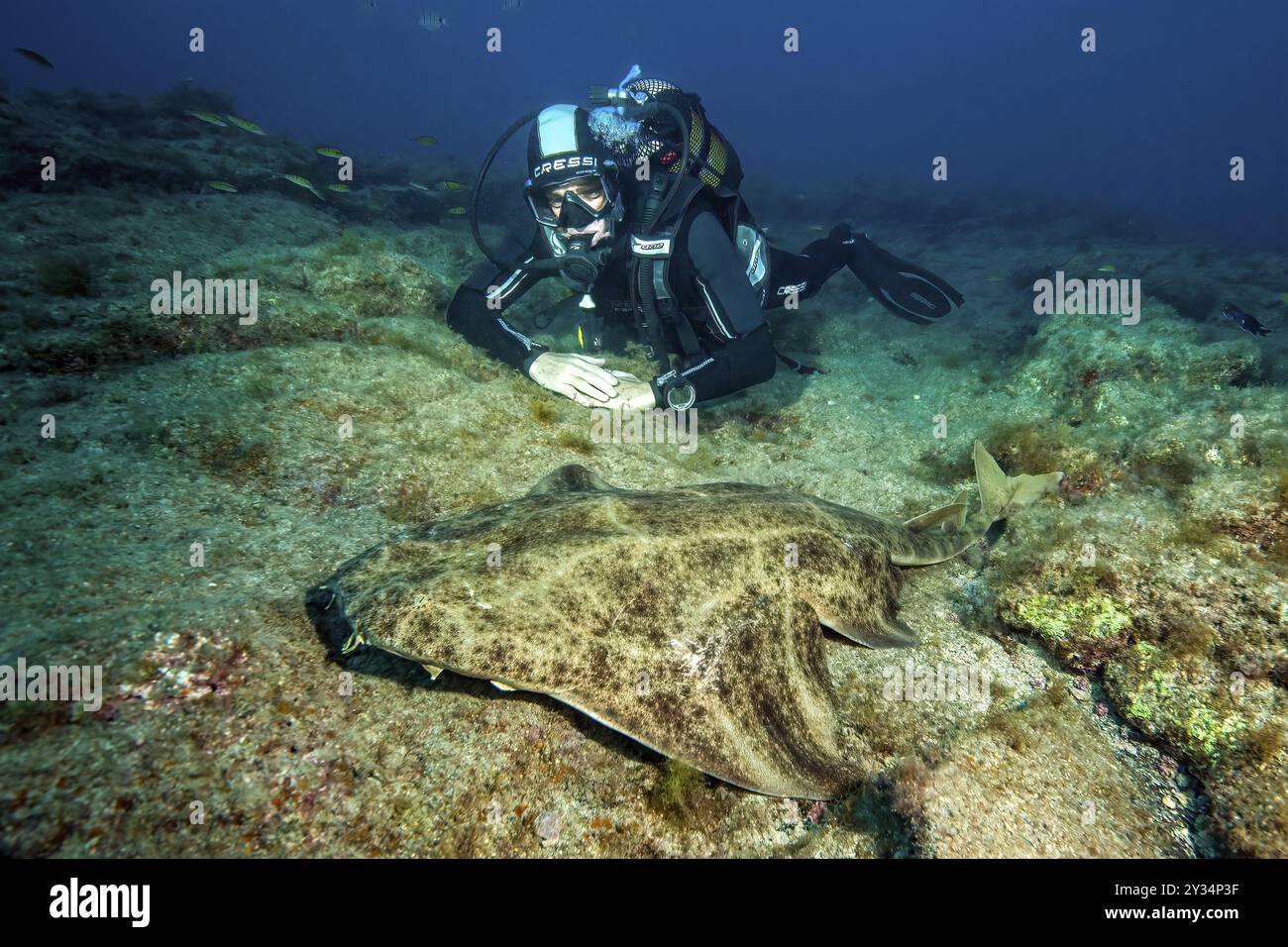 Taucher auf felsigem Meeresboden, Atlantik, Ostatlantik, Fuerteventura, Kanarischen Inseln, Kanarische Inseln, Spanien, Europa Stockfoto