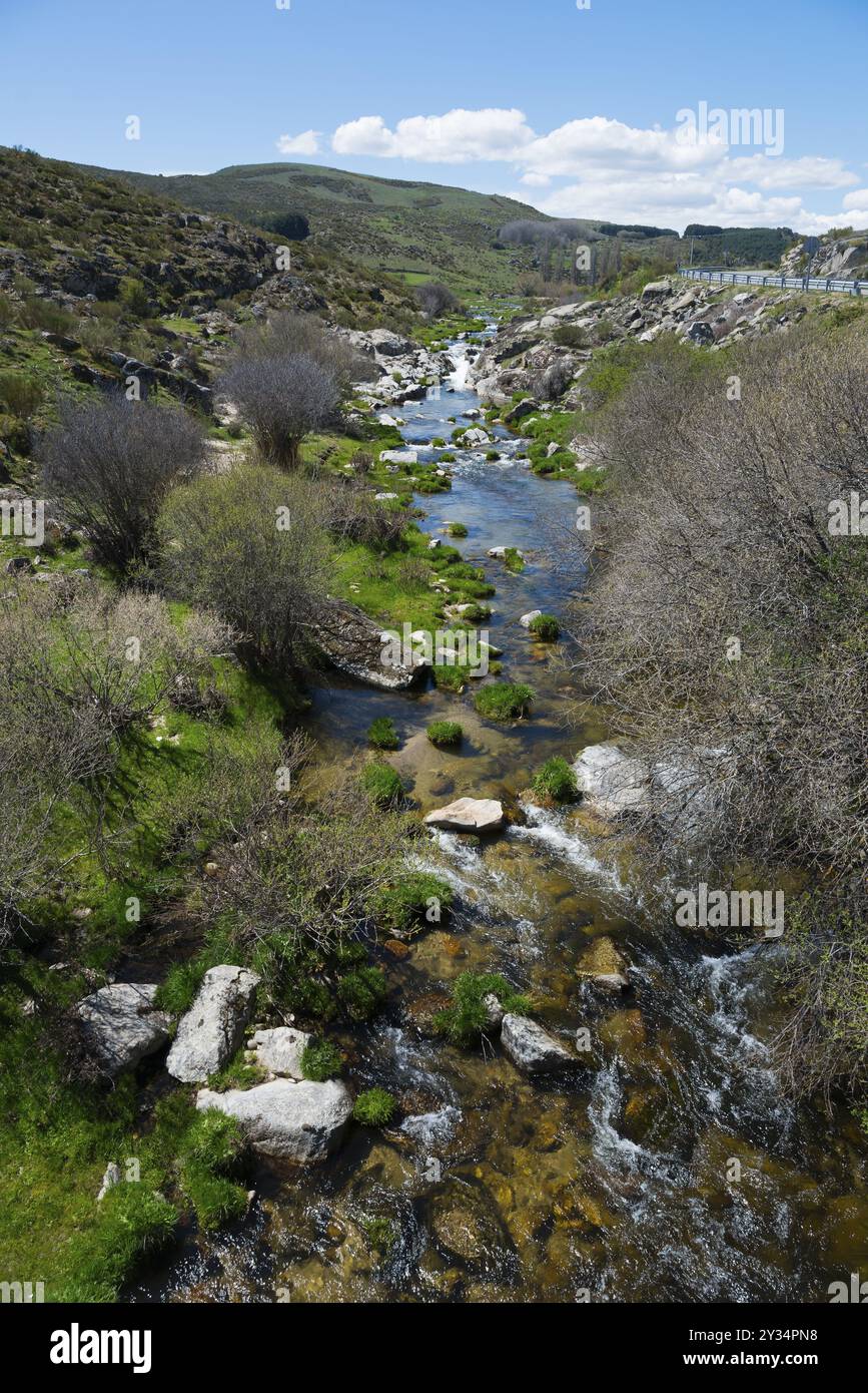 Fluss mit Felsen und Vegetation in einem grünen Tal unter blauem Himmel mit Wolken und Bergen, Garganta de Navarenas O Arenillas, Navarenas Gorge, SIEr Stockfoto