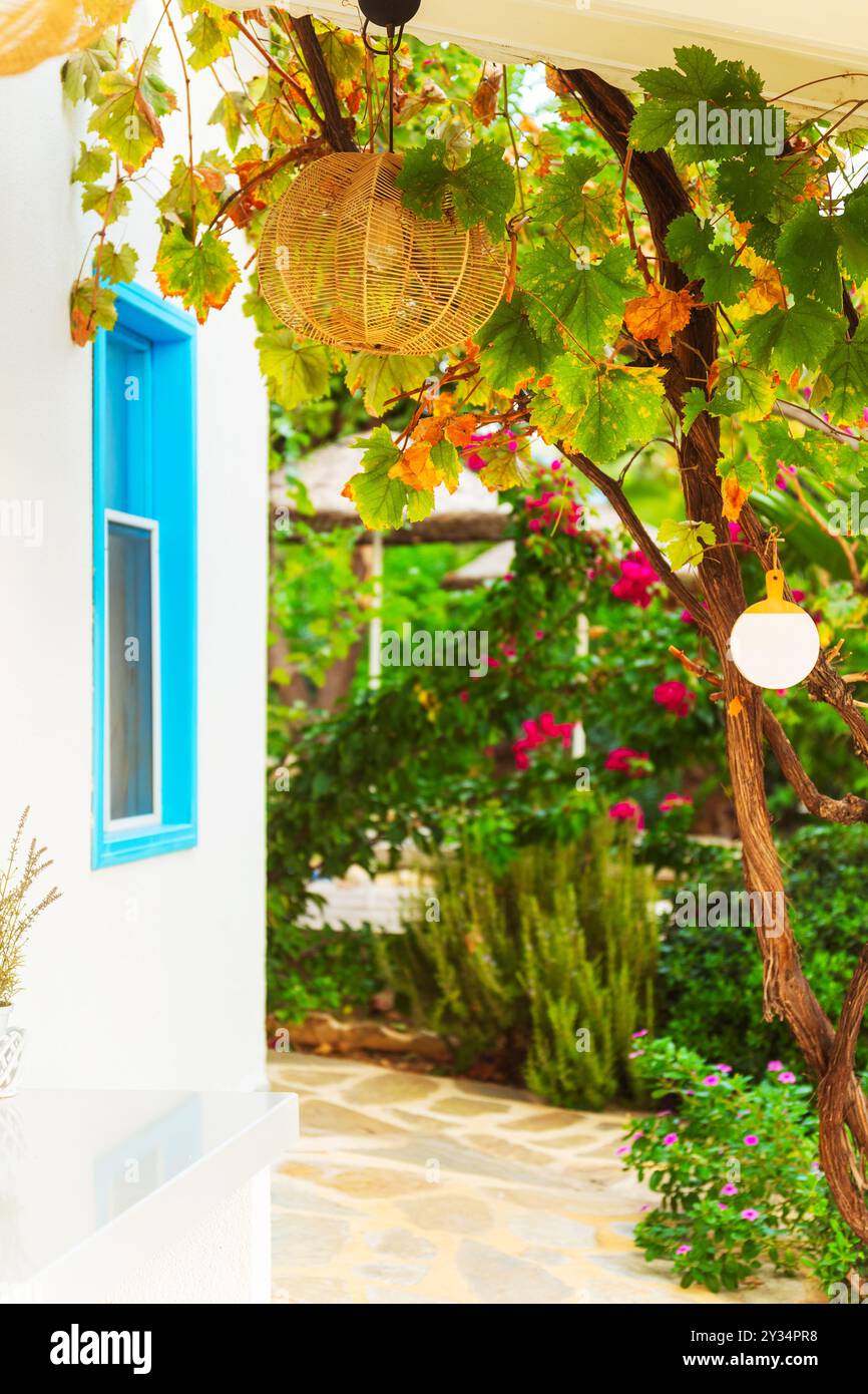 Ein bezauberndes weißes Haus mit einem blauen Fenster und einem Baum davor Stockfoto