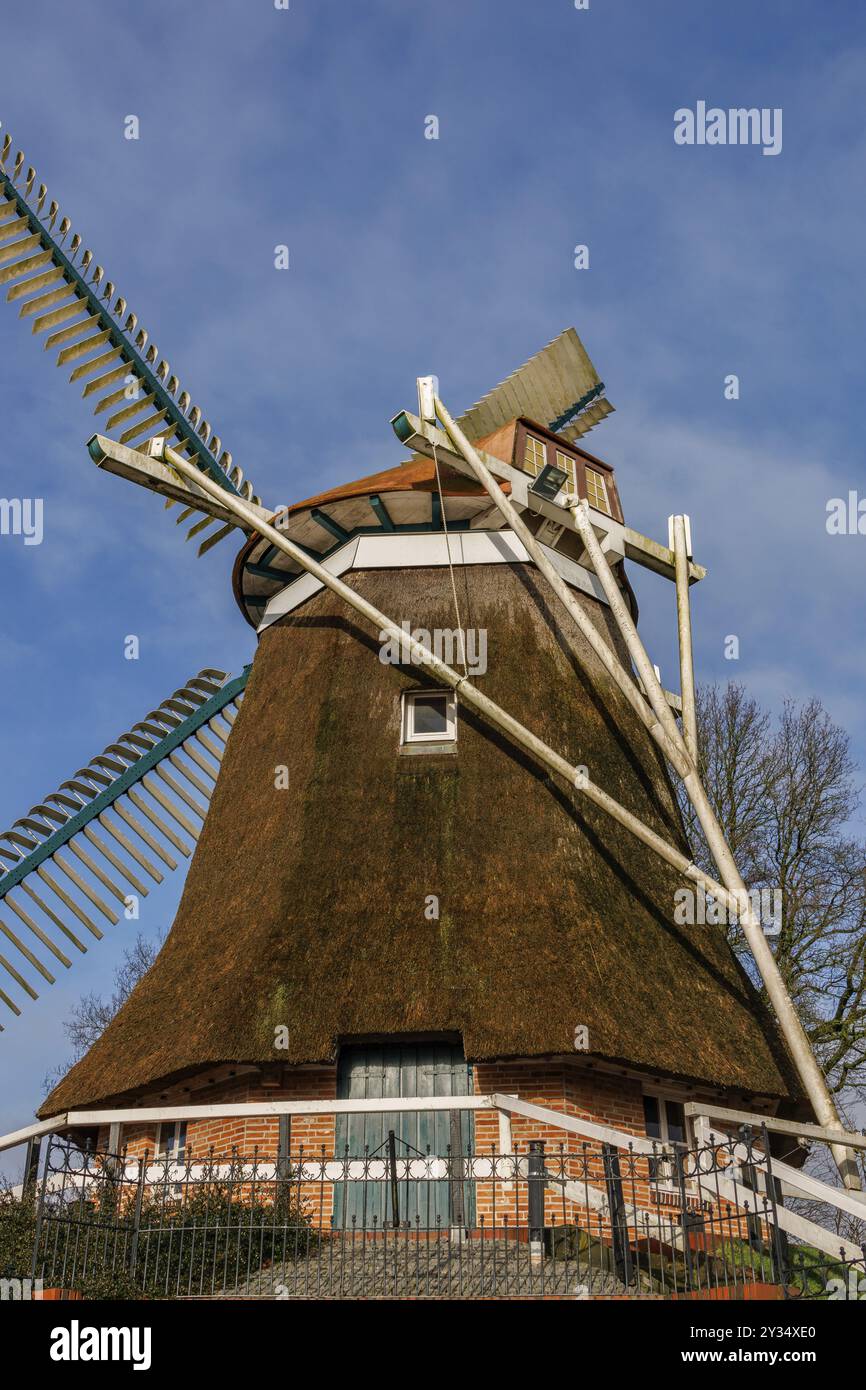 Traditionelle Windmühle mit Strohdach und Backsteinhaus unter klarem blauen Himmel, Burlage, ostfriesland, deutschland Stockfoto