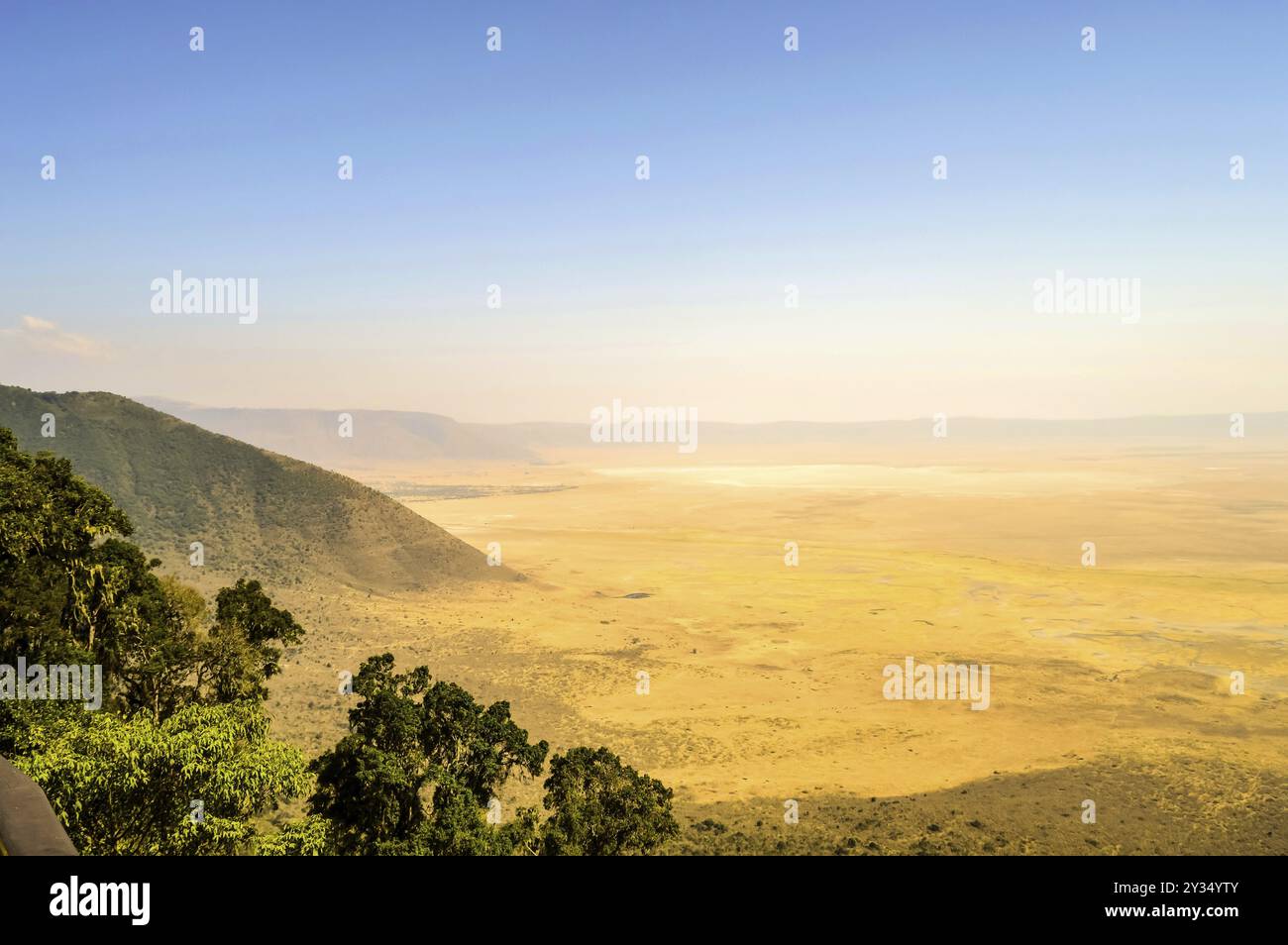 Erhöhte Sicht auf den Boden des Ngorongoro-Kraters vom südlichen Rand des Kraters. Blick in den Wald von Lerai und den alkalischen Krater Stockfoto