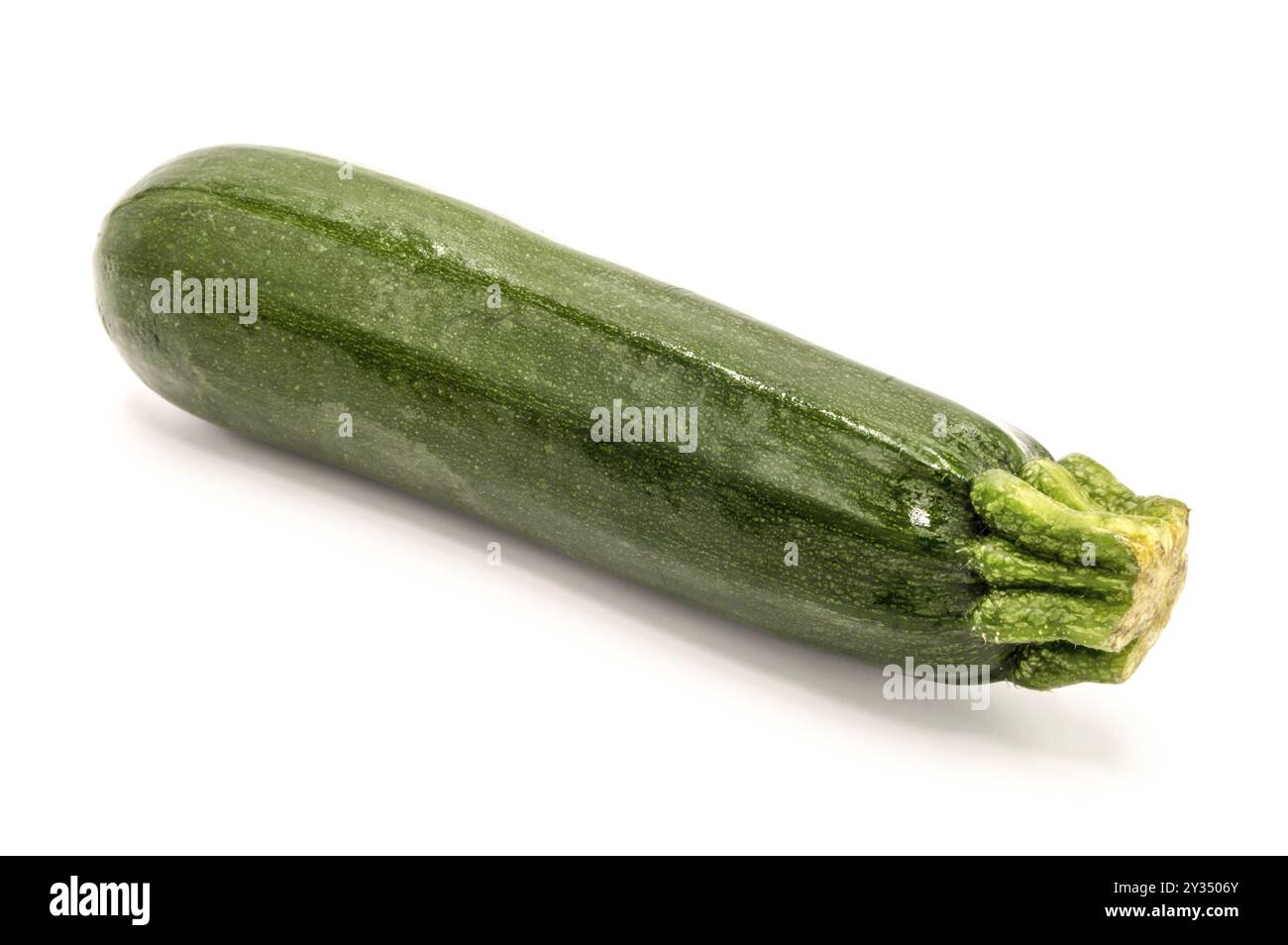 Nahaufnahme einer frischen Zucchini auf weißem Hintergrund Stockfoto