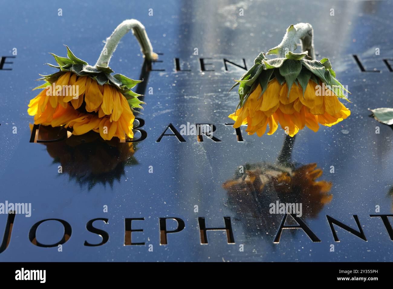 New York, New York, USA. September 2024. Die Szene im 9/11 Memorial Reflecting Pools am 11. September in Ground Zero am 23. Jahrestag. Des schlimmsten Terroranschlags in der Geschichte der USA (Credit Image: © Milo Hess/ZUMA Press Wire) NUR REDAKTIONELLE VERWENDUNG! Nicht für kommerzielle ZWECKE! Stockfoto