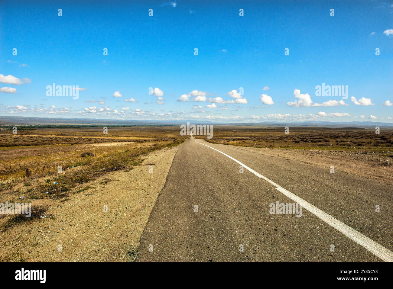 Gepflasterte zweispurige Straße in Halbwüstengegend Stockfoto
