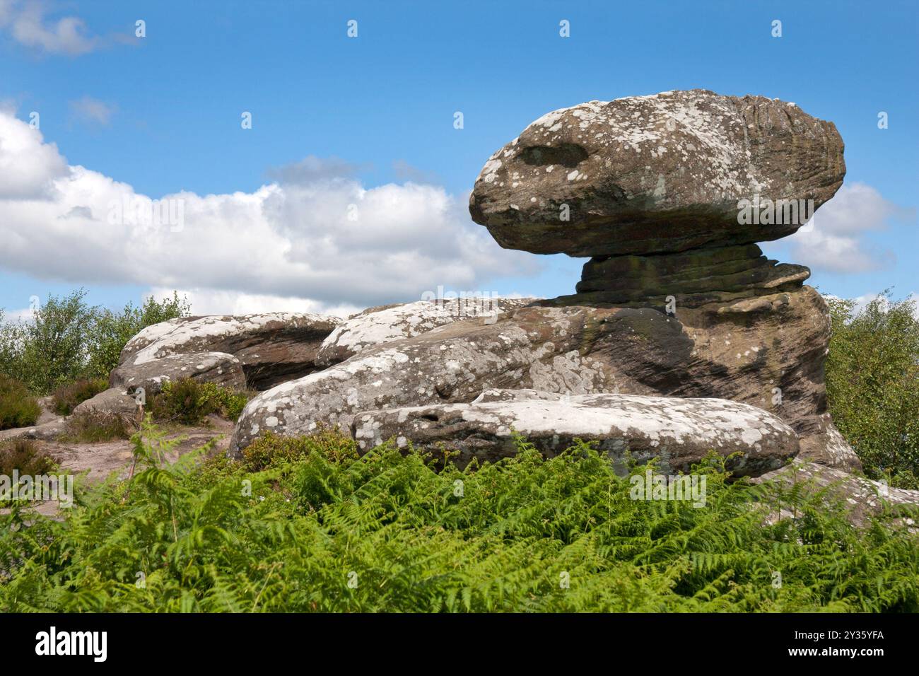 Pilzgestein in Form eines Außerirdischen, Brimham Rocks, Brimham Moor, Summerbridge, Harrogate, Nidderdale, Yorkshire, England Stockfoto