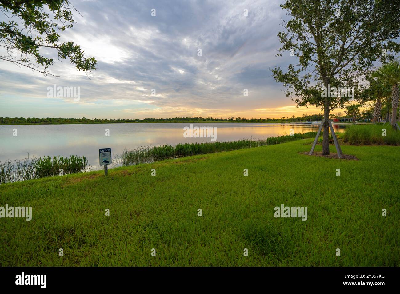 Florida abendliche Natur. Feuchtsee bei Sonnenuntergang. Stockfoto