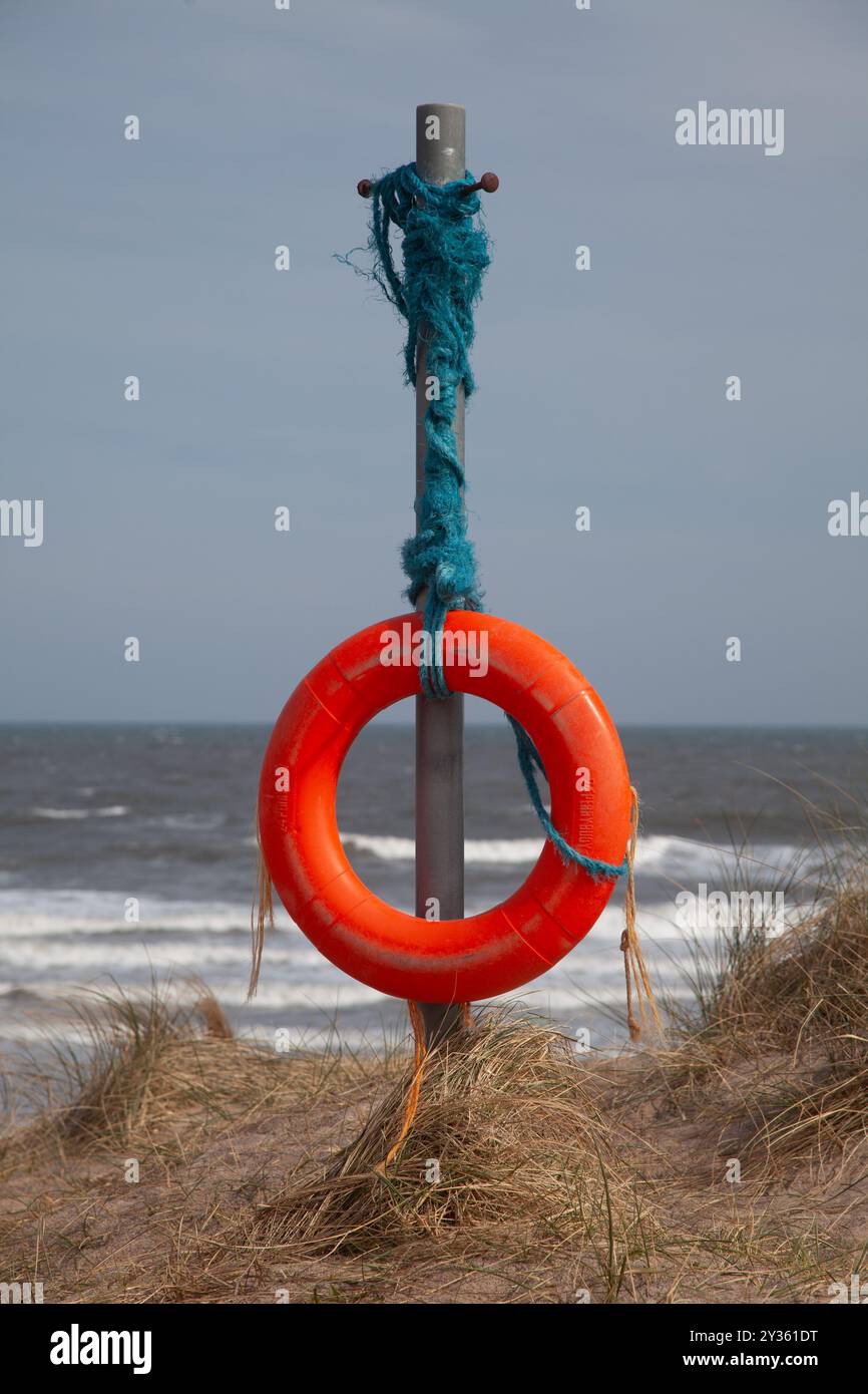 Lebensring am Warkworth Beach, Northumberland Stockfoto