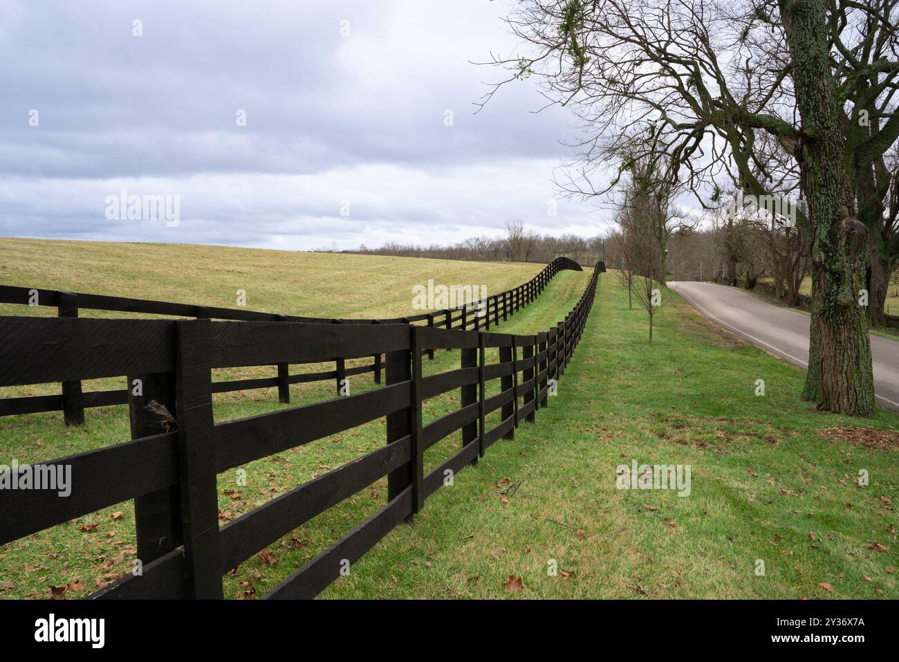 Sanfte grasbewachsene Hügel und Holzzaun aus der ländlichen Landschaft von Kentucky Stockfoto