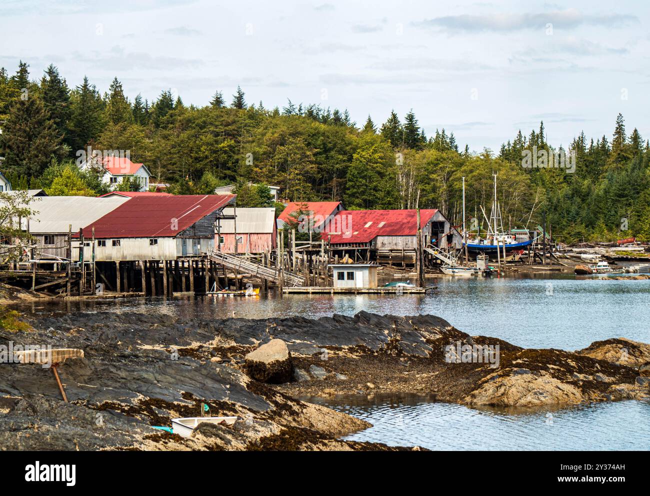 Historische Bootsgebäude, Nordwestküste BC, in Dodge Cove auf Digby Island. Altes norwegisches Fischerdorf und Bootsbaugemeinde. Stockfoto