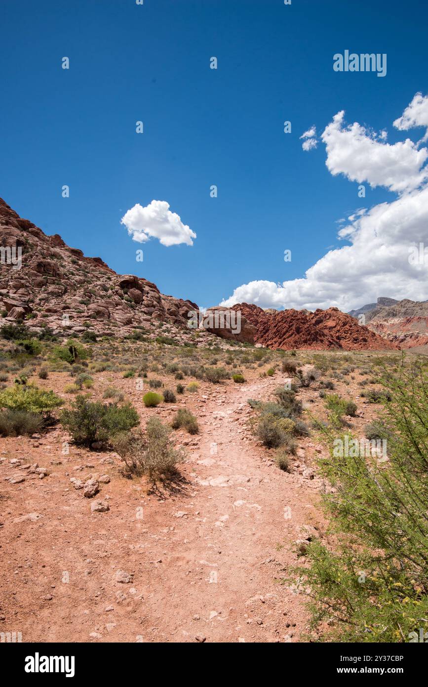 Calico Basin Trail, Red Rock Canyon, Nevada Stockfoto