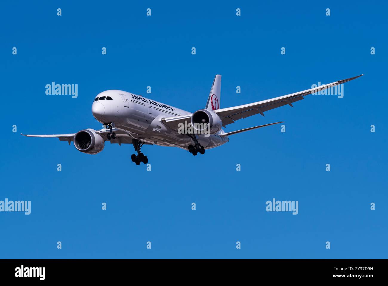 Dallas-Ft. Intl. Wert Flughafen 12-25-201 Grapevine, TX USA Japan Airlines Boeing 787-8 JA842J im Finale für 17C bei Dallas Fort Worth International Air Stockfoto