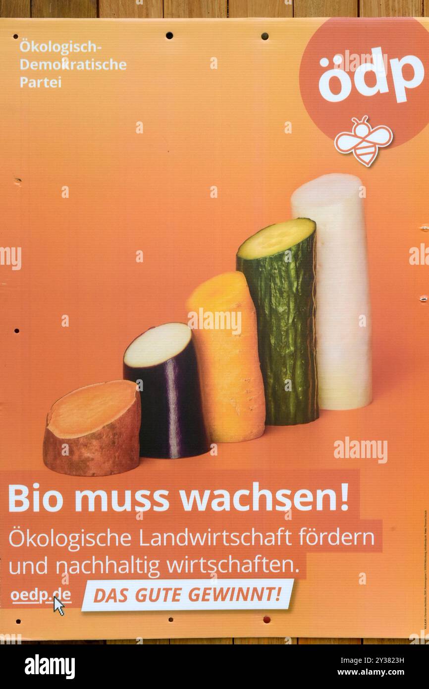 ödp-Wahlplakat - Bio muss wachsen Ökologische Landwirtschaft fördern und nachhaltig wirtschaften / das Gute gewinnen *** ödp Wahlplakat Bio muss wachsen Förderung ökologischer Landwirtschaft und nachhaltiges wirtschaften das Gute gewinnt Stockfoto