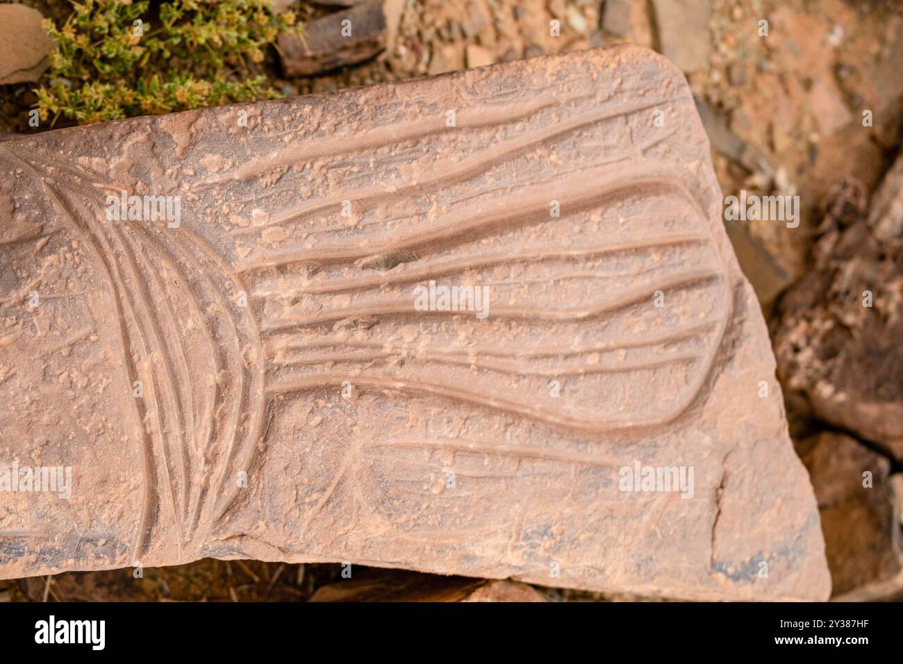 petroglyph, Ait Ouazik Rock Depot, spätneolithisch, Marokko, Afrika Stockfoto