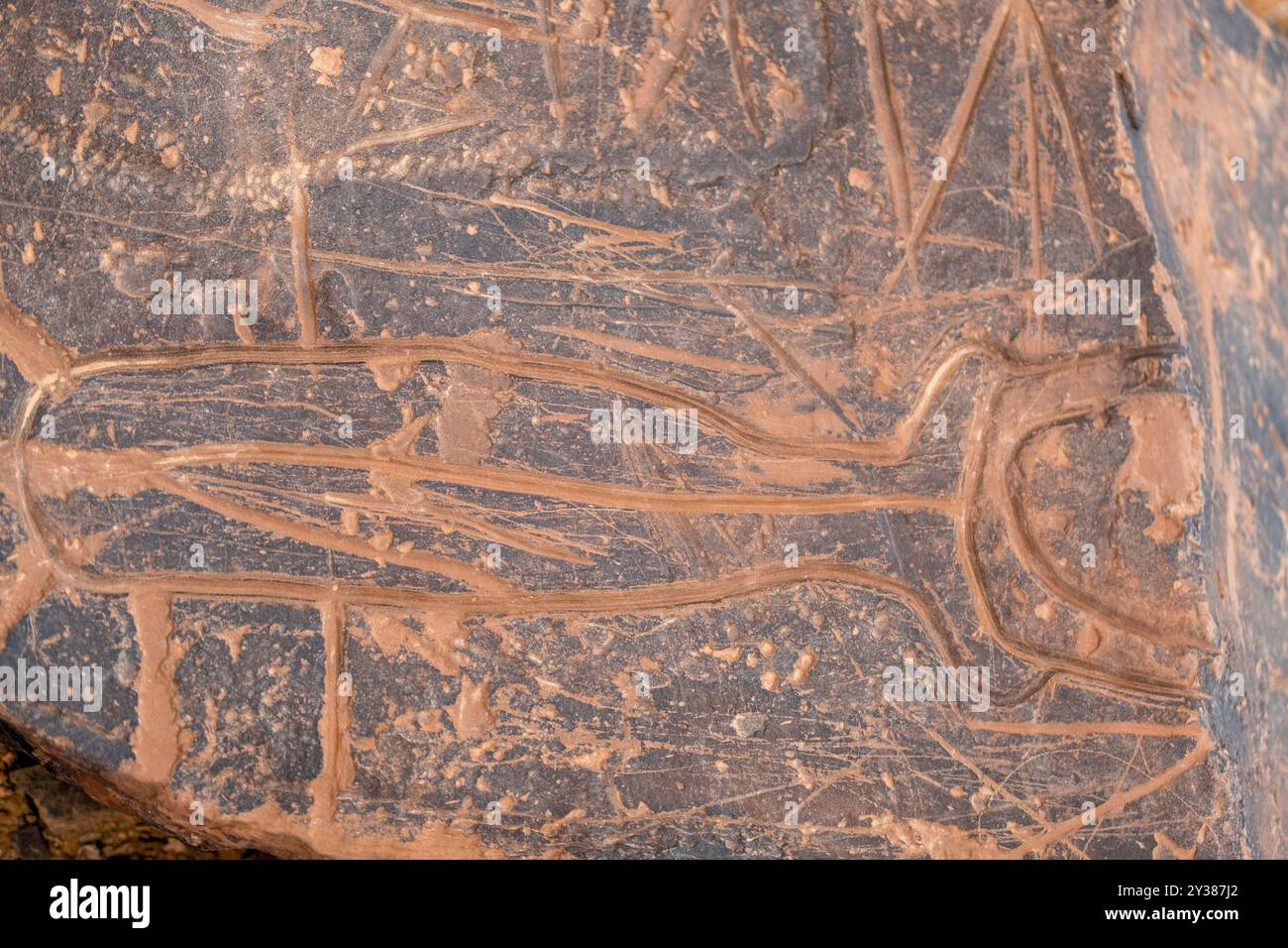 petroglyph, Ait Ouazik Rock Depot, spätneolithisch, Marokko, Afrika Stockfoto