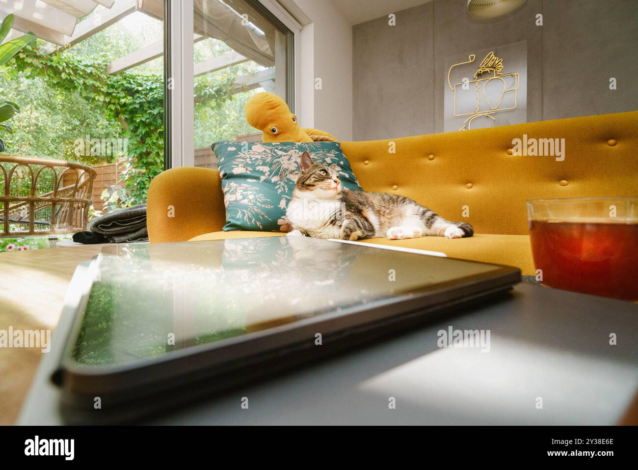 Innenraum mit grünen Pflanzen. Katze, die auf dem Sofa liegt. Holztisch mit Laptop-E-Book-Grafiktablett. Neon an der Wand Stockfoto