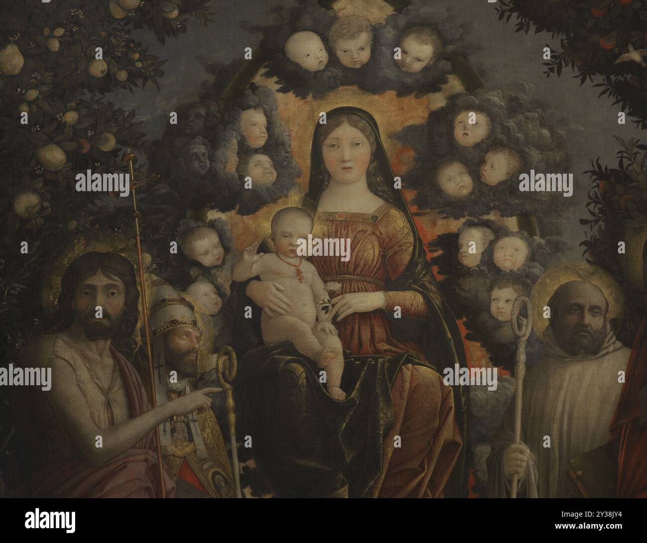Andrea Mantegna (1431-1506). Italienischer Renaissance-Maler. "Trivulzio Madonna", 1497. Madonna in Ruhm mit St. Johannes der Täufer, Gregor der große, Benedikt und Jerome. Tempera auf Leinwand (287 x 214 cm). Details. Pinacoteca Castello Sforzesco, Mailand, Italien. Stockfoto
