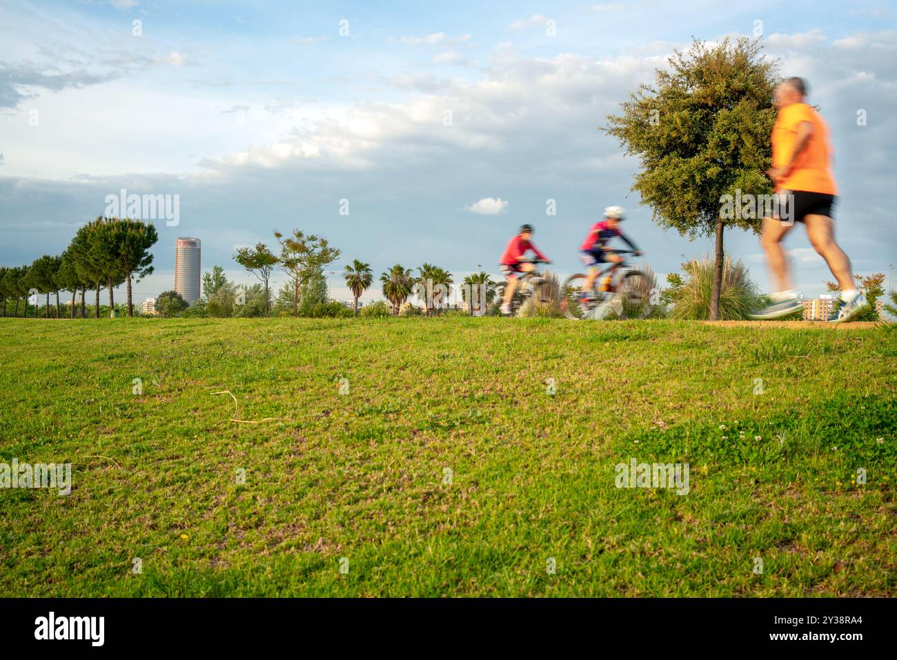 Joggen und Radfahren im Parque Vega de Triana, Sevilla. Die lebhafte Szene spiegelt die Fitness im Freien, Freizeitaktivitäten und die Schönheit der Natur wider Stockfoto