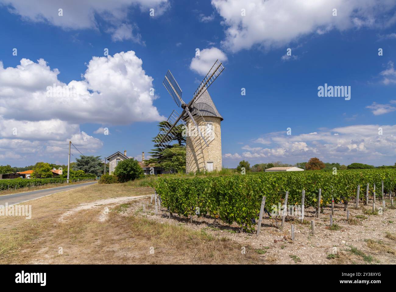 Weinberge mit Lamarque Windmühle, Haut-Medoc, Bordeaux, Aquitaine, Frankreich Stockfoto