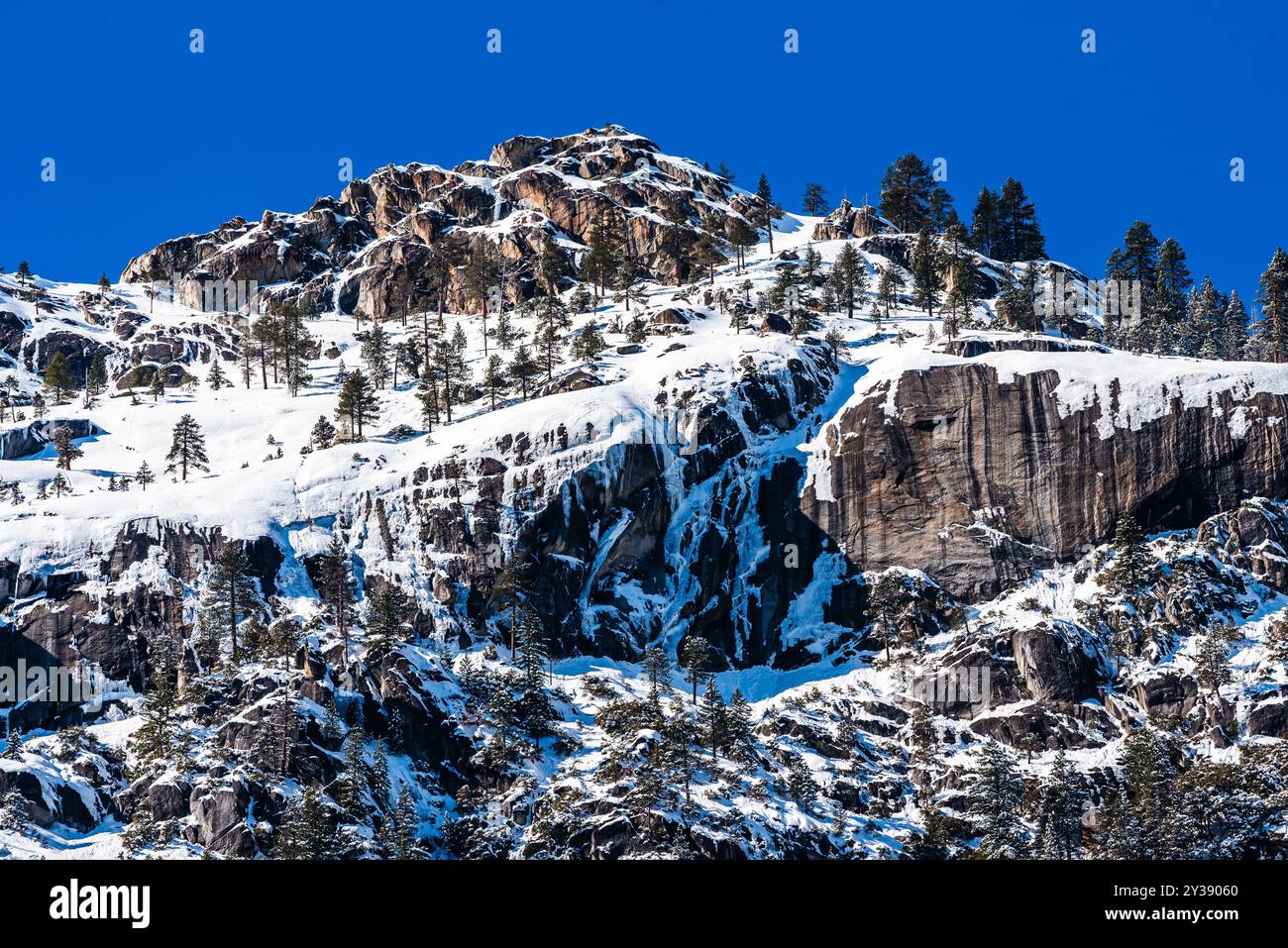 Schneebedeckte felsige Berge mit Kiefern unter einem hellblauen Himmel Stockfoto