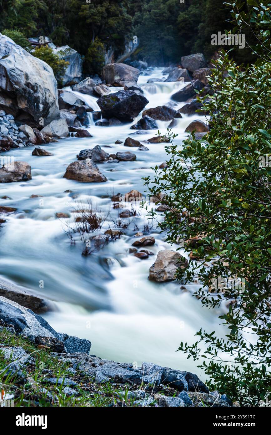 Rauschende Flüsse kaskadieren über Felsen, umgeben von Bäumen Stockfoto