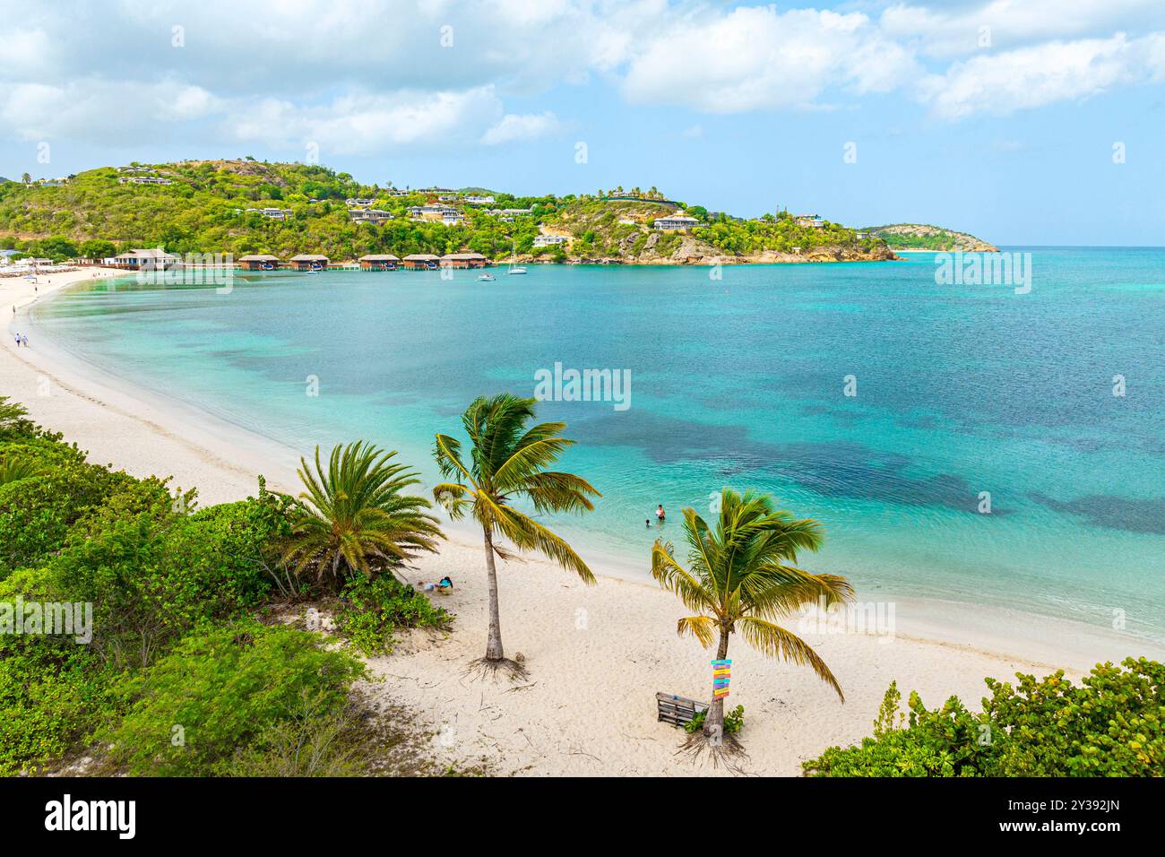 Palmenstrand, Antigua und Barbuda Stockfoto