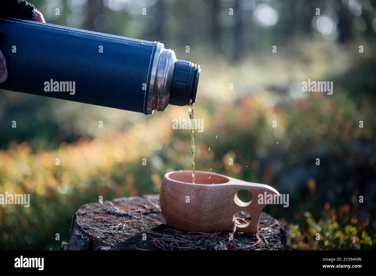 Menschliche Hand gießt Tee aus einer Thermoskanne in einen Holzbecher im Wald Stockfoto