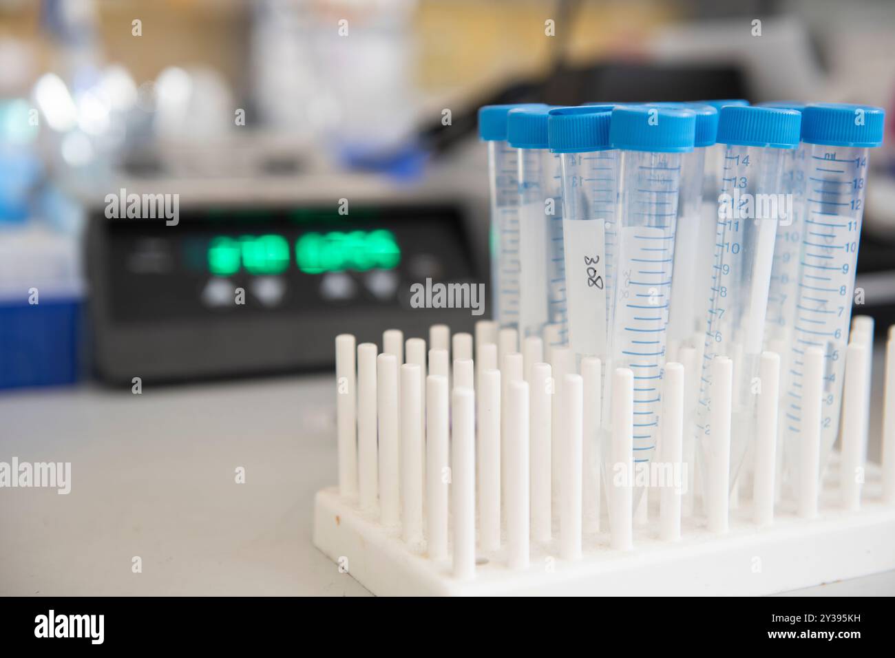 Tablett konischer Zentifugenröhrchen mit blauen Kappen im Biotech-Labor Stockfoto