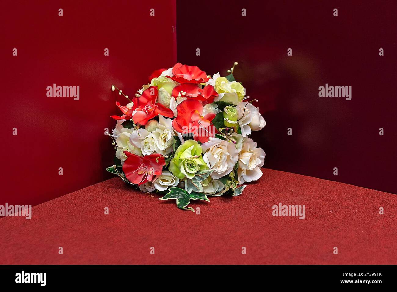 Rote und weiße Rose im Topf in rotem Teppich. Blumen Stockfoto