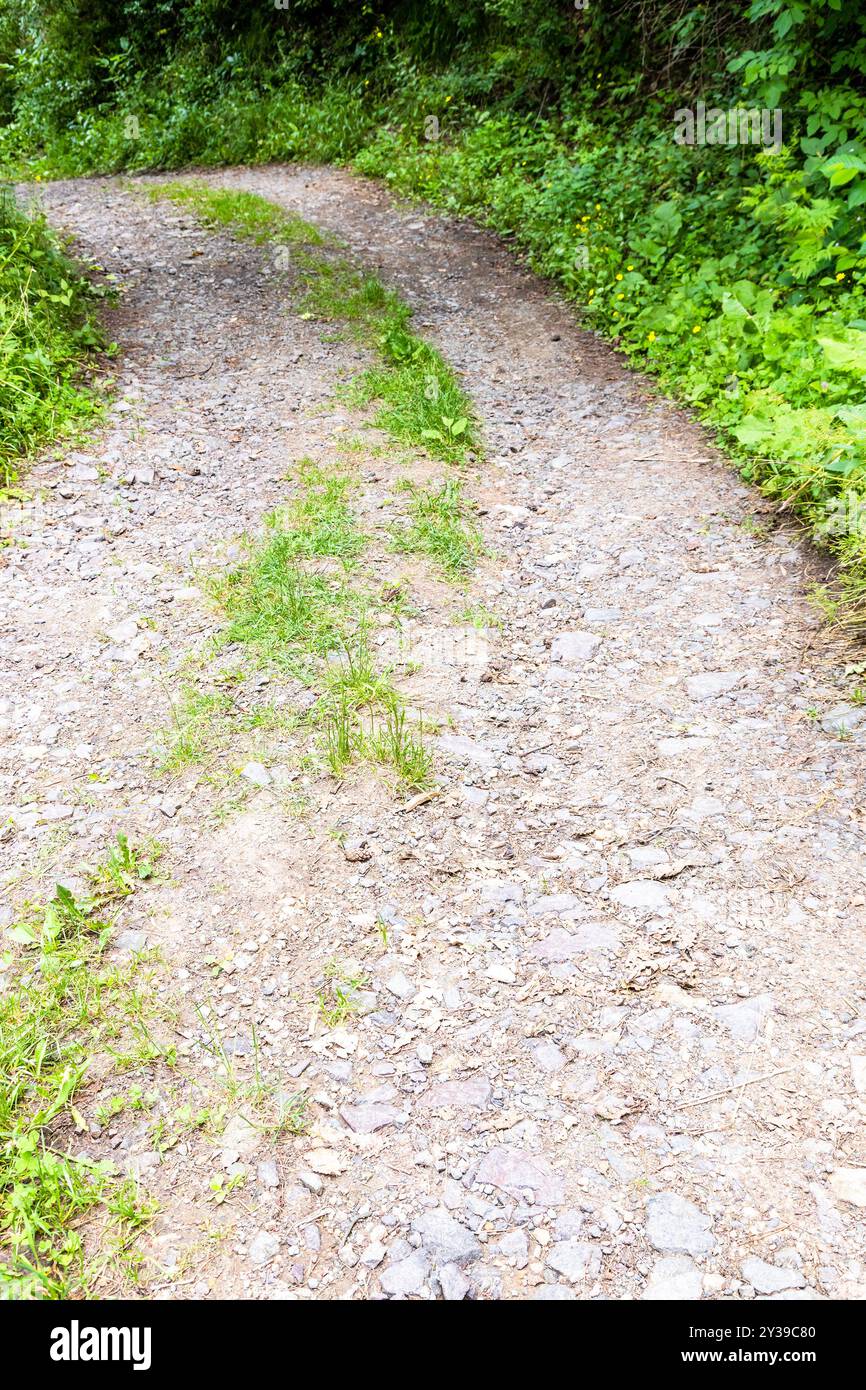 Straße im Bergwald auf dem Transcaucasian Trail im Dilijan-Nationalpark am Sommertag Stockfoto