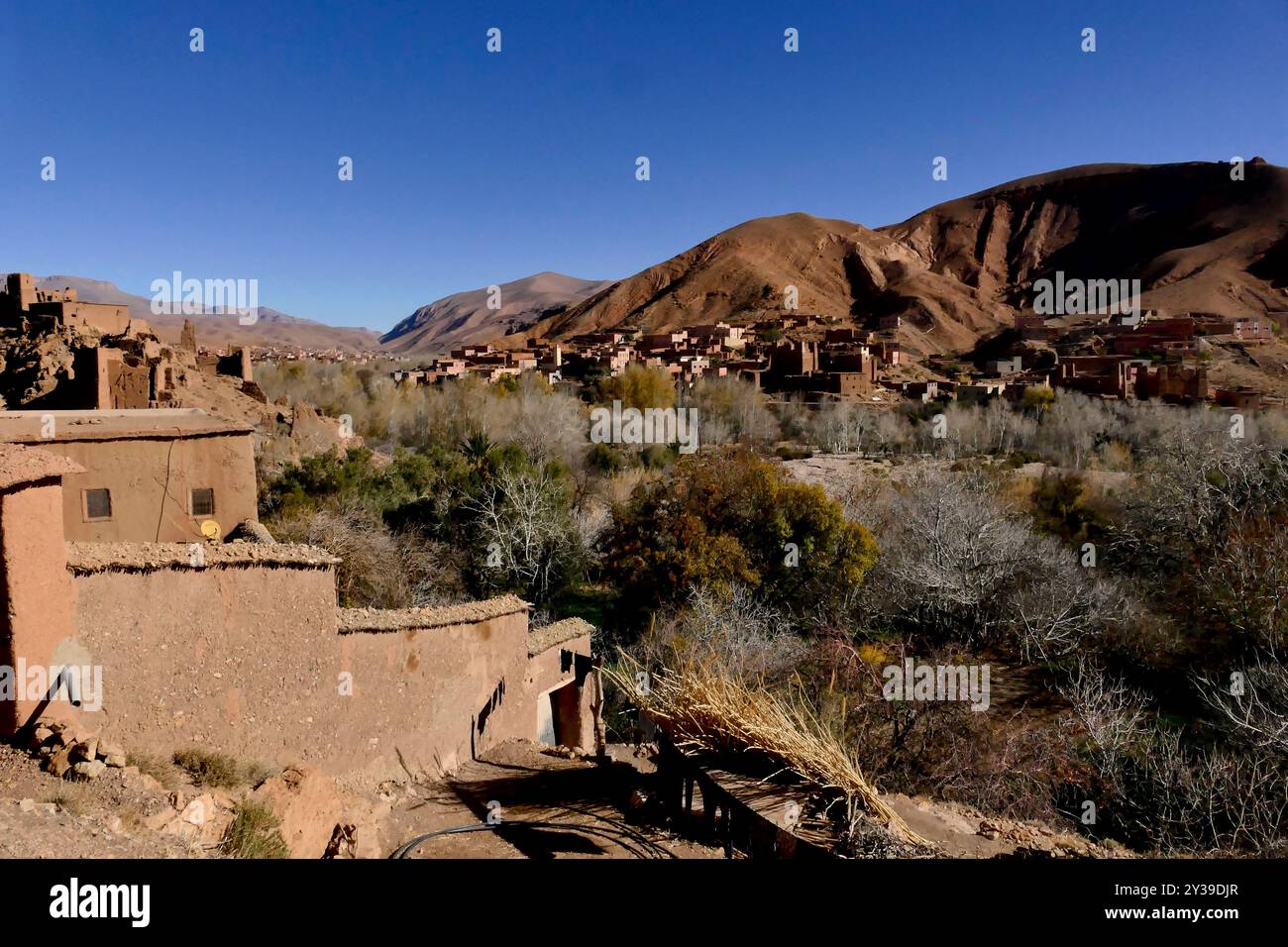 Die Dades-Schlucht wird von einem gewundenen Asphaltstreifen durchzogen, der von den Einheimischen als „Straße der Tausend Kasbahs“ bezeichnet wird. Stockfoto